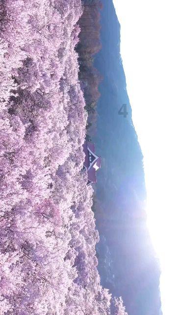 解答疑惑,尽在操矛入室意思问答平台